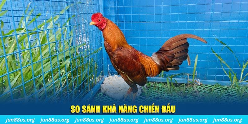 vn68 CQ9 Điện Tử