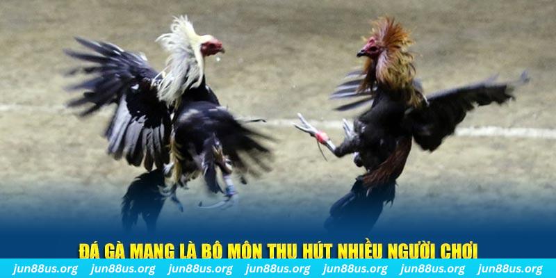 vn68 bắn cá au88