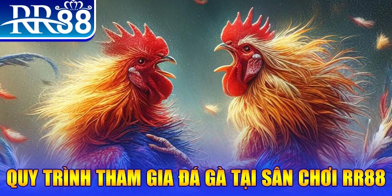 vn68 đá gà cam 67