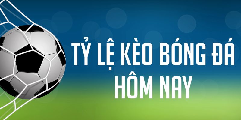 vn68 gà chọi c1 mới nhất