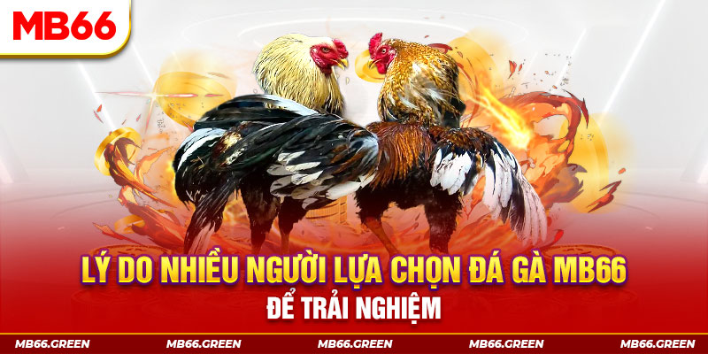 vn68 xổ số miền bắc thứ bảy hàng tuần