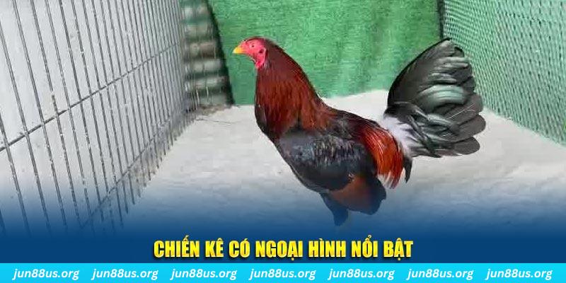 vn68 game nổ hũ là gì