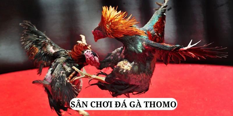 vn68 trực tiếp xổ số miền bắc